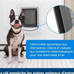 PetSafe Porte Connect E Pour Animaux Smartdoor