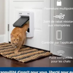 PetSafe Porte Connect E Pour Animaux Smartdoor