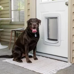 PetSafe Porte Connect E Pour Animaux Smartdoor