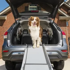 PetSafe Rampe T Lescopique Pour Chiens Happy Ride De ®