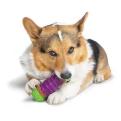PetSafe Recharges Pour Friandises De Forme Circulaire Ultra- Paisses Busy Buddy®