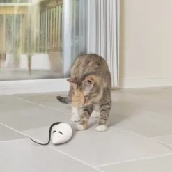 PetSafe Rolorat Jeu Casse-T Te Automatique Pour Chats