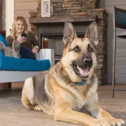 PetSafe Smart Dog Dressage