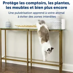 PetSafe Spray R Pulsif Automatique Pour Animaux Ssscat