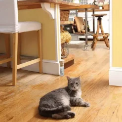 PetSafe Spray R Pulsif Ssscat