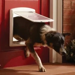 PetSafe Staywell® Porte Pour Animaux D'Origine 2 Positions