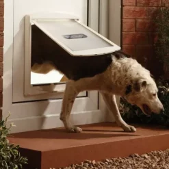 PetSafe Staywell® Porte Pour Animaux D'Origine 2 Positions