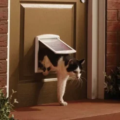 PetSafe Staywell® Porte Pour Animaux D'Origine 2 Positions