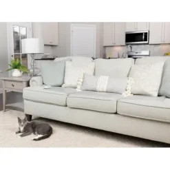 PetSafe Tapis D'Entra Nement D'Int Rieur Scatmat