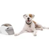 PetSafe Treat & Train Manners Minder Dispositif De Dressage Pour Chien Par La R Compense Distance