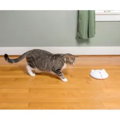 PetSafe Zip Laser Automatique