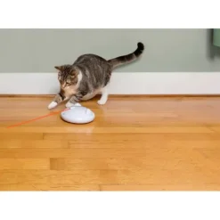 PetSafe Zip Laser Automatique